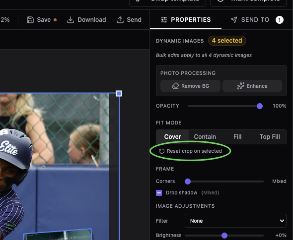 Multi-select properties panel showing the Reset crop on selected button