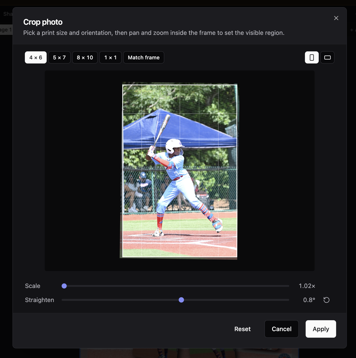 Crop Photo dialog with the Straighten slider set to a small positive angle and a levelling grid drawn over the photo